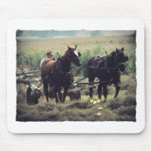 馬が付いている干し草の作成