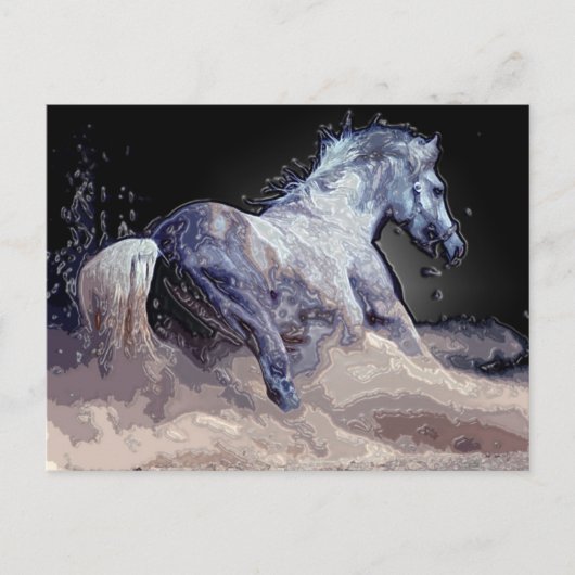 馬が動いている ポストカード (正面)