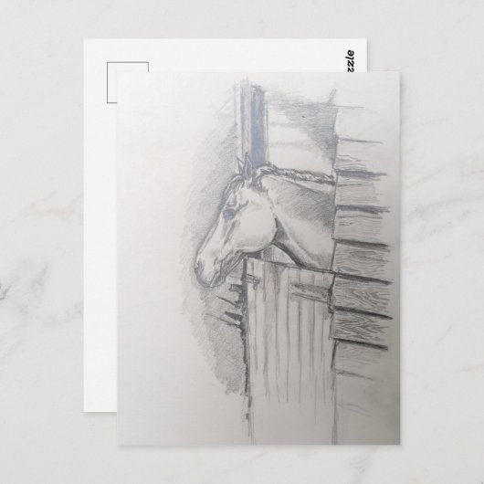 馬が厩舎の戸を見つめている ポストカード (正面/裏面)