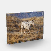 馬が大きな角の風光明媚な丘をローミング フォトブロック (左)