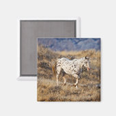 馬が大きな角の風光明媚な丘をローミング マグネット (正面/裏面)