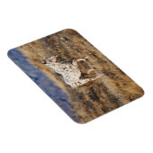 馬が大きな角の風光明媚な丘をローミング マグネット (右側)