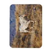 馬が大きな角の風光明媚な丘をローミング マグネット (縦)