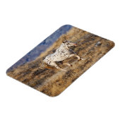 馬が大きな角の風光明媚な丘をローミング マグネット (左側)