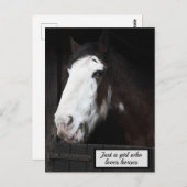 馬が大好きな女の子だけの農場で茶色の馬 ポストカード (正面/裏面)