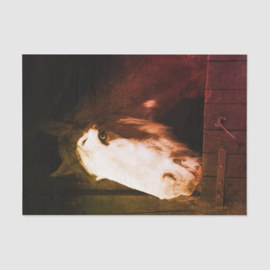 馬が大好きな女の子だけの農場で茶色の馬 薄葉紙 (正面)