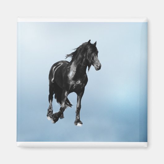 馬が急に曲がった マグネット (正面)