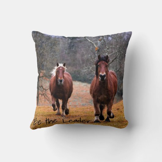 馬が指導者になる クッション (裏面)