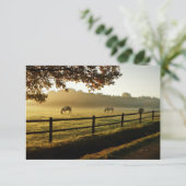 馬が日の出の牧草地で放牧 サンキューカード (スタンド正面)