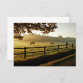 馬が日の出の牧草地で放牧 サンキューカード (正面/裏面)