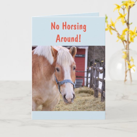 馬が早く元気になる カード (黄色い花)