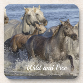 馬が水の中を駆け回る コースター