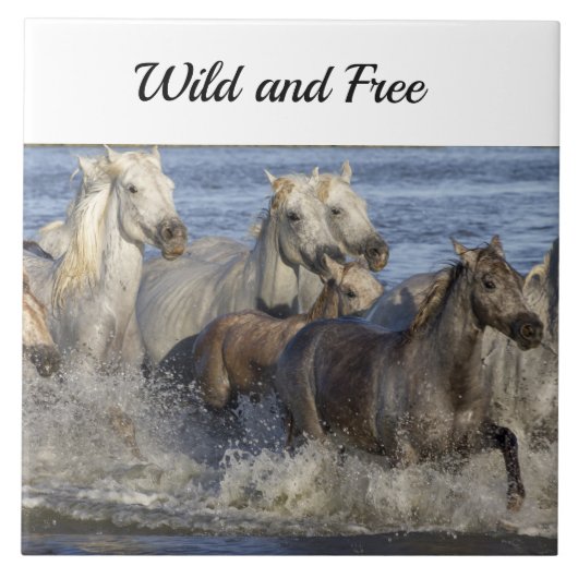 馬が水の中を駆け回る タイル (正面)