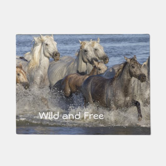 馬が水の中を駆け回る ドアマット (正面)