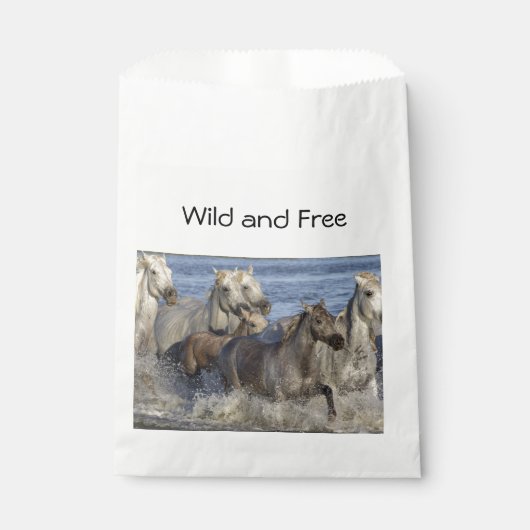 馬が水の中を駆け回る フェイバーバッグ (正面)