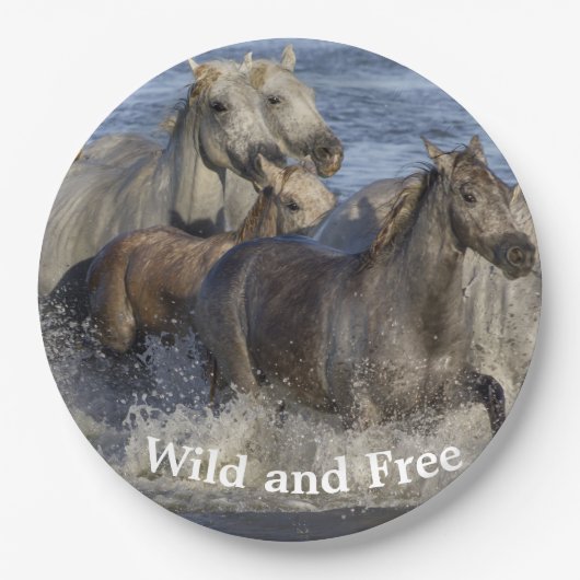 馬が水の中を駆け回る ペーパープレート (正面)