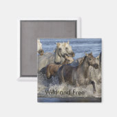 馬が水の中を駆け回る マグネット (正面/裏面)