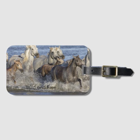 馬が水の中を駆け回る ラゲッジタグ (正面横)