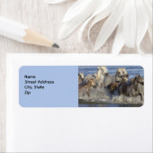 馬が水の中を駆け回る ラベル (インサイチュ)