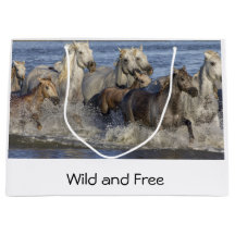 馬が水の中を駆け回る