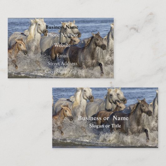 馬が水の中を駆け回る 名刺 (正面/裏面)