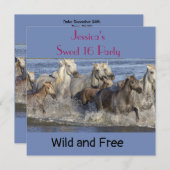 馬が水の中を駆け回る 招待状 (正面/裏面)