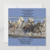 馬が水の中を駆け回る 招待状 (裏面)