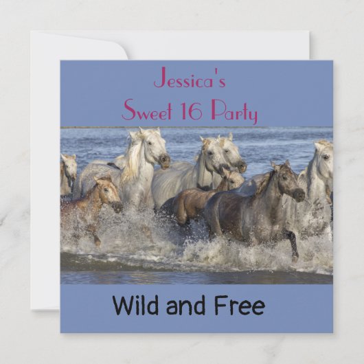 馬が水の中を駆け回る 招待状 (正面)