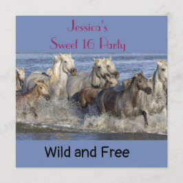 馬が水の中を駆け回る 招待状