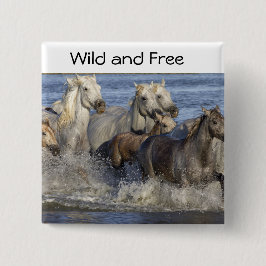 馬が水の中を駆け回る 缶バッジ