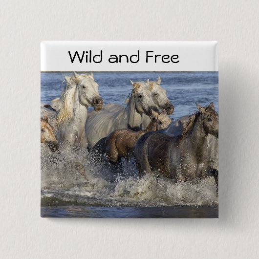 馬が水の中を駆け回る 缶バッジ (正面)