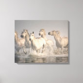 馬が水の中を駆地中海のける キャンバスプリント (正面)