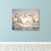 馬が水の中を駆地中海のける キャンバスプリント (インサイチュ (ウッドフロア))