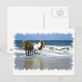 馬が浜のポストカード ポストカード (正面/裏面)