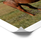 馬が牧草地で放牧,テトン山脈 ポスター (角)