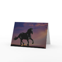 馬が自由に駆ける