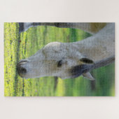 馬が野を放牧する ジグソーパズル (横)