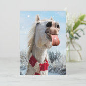 馬が雪の結晶をキャッチ 招待状 (スタンド正面)