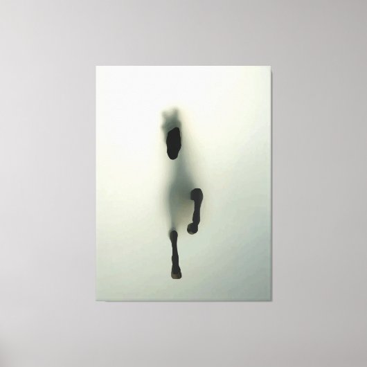 馬が霧を突破 キャンバスプリント (正面)