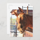 馬ことわざハイポストカード ポストカード (正面/裏面)