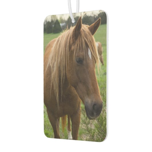 馬こんにちは カーエアーフレッシュナー (左)