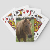 馬こんにちは トランプ (裏面)