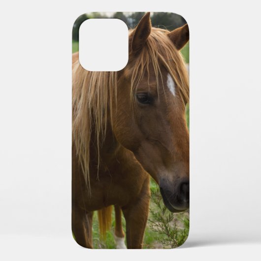 馬こんにちはiPhoneケース Case-Mate iPhoneケース (裏面)