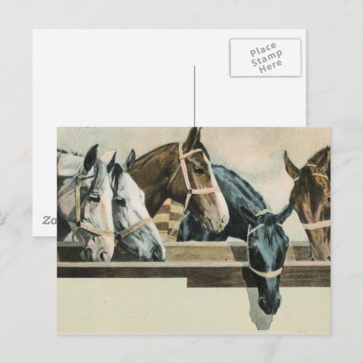 馬たちと一緒 ポストカード (正面/裏面)