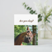 馬たちよ、元気ですか?私たちはあなたのことを考えています。 ポストカード (スタンド正面)