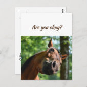 馬たちよ、元気ですか?私たちはあなたのことを考えています。 ポストカード (正面/裏面)