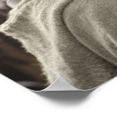 馬でアラゴーン ポスター (角)