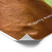 馬で素晴らし日のポスターを作る ポスター (角)