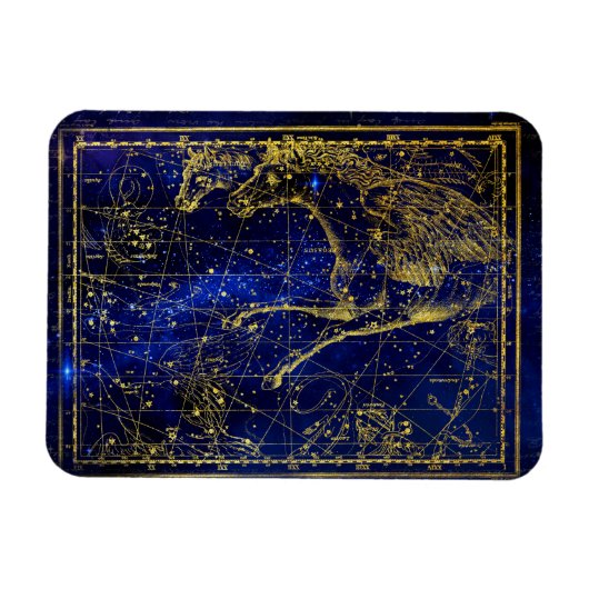 馬とイルカの星座の磁石 マグネット (横)