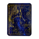 馬とイルカの星座の磁石 マグネット (縦)